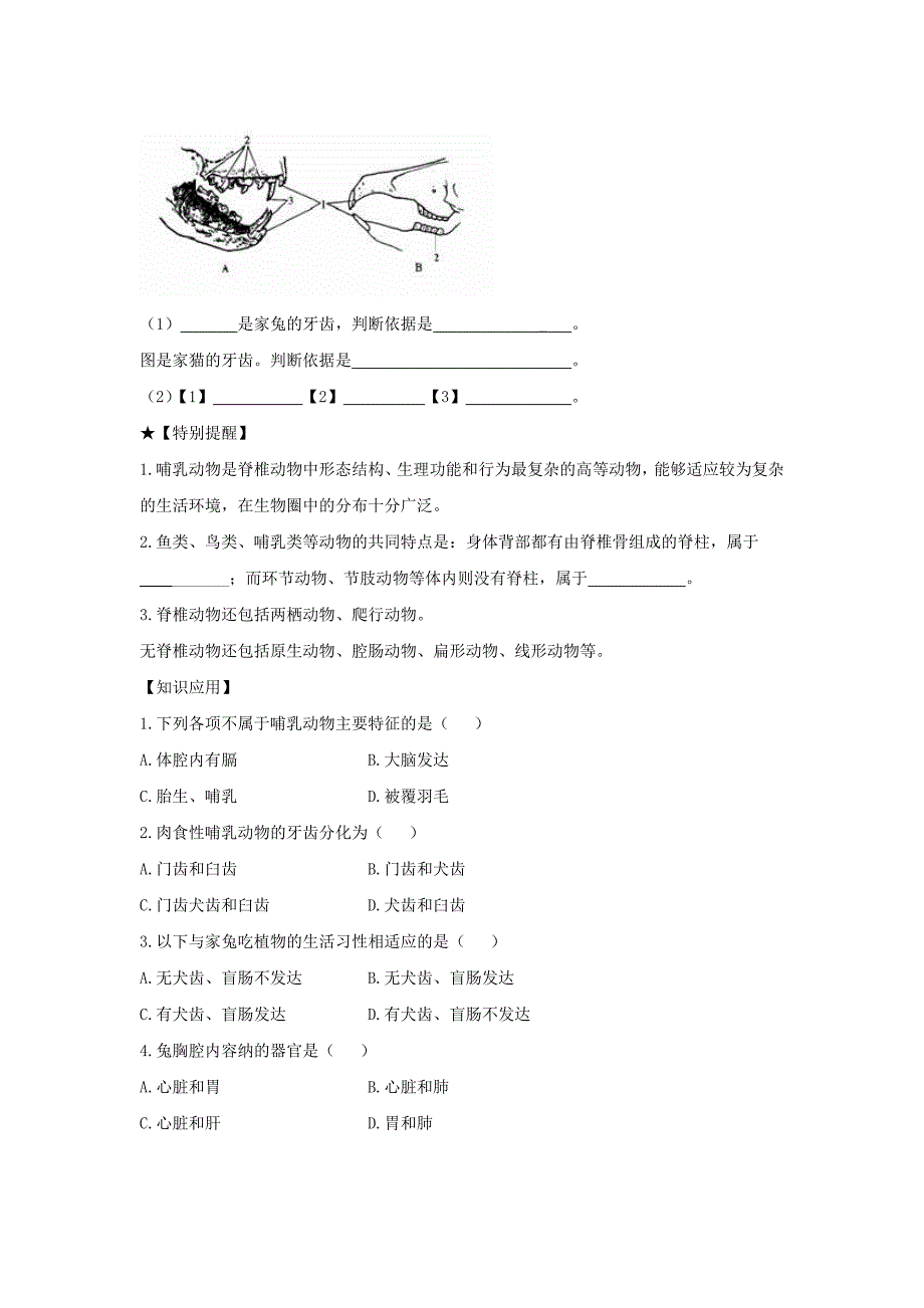 精选类七年级生物上册2.2.2脊椎动物的主要类群第2课时导学案无答案新版济南版通用_第4页