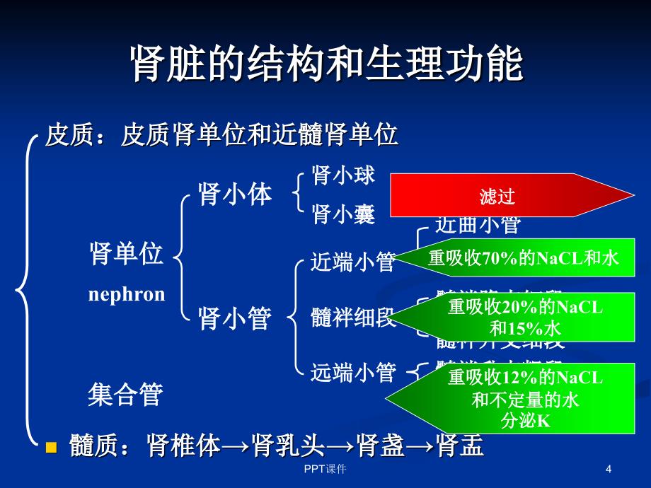 AKI的诊断与治疗ppt课件_第4页