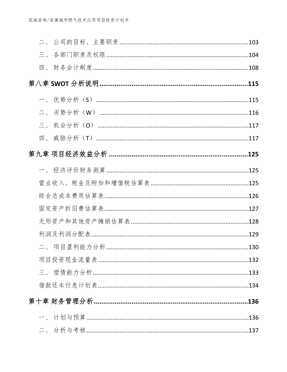 安康城市燃气技术应用项目投资计划书范文_第4页