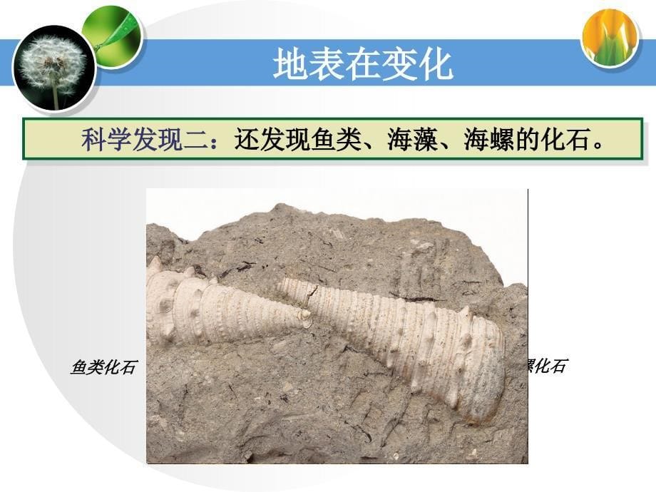 1地表在变化教学课件_第5页