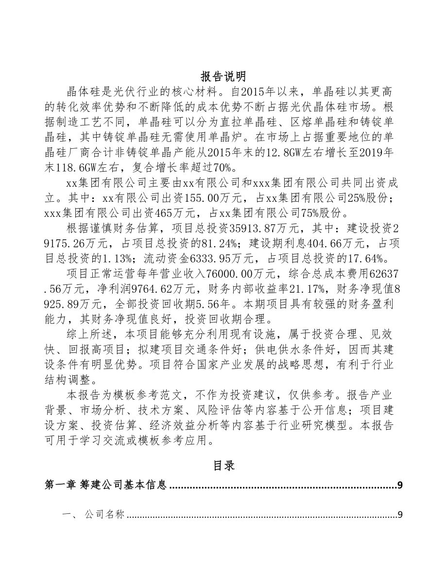 海南关于成立半导体设备公司可行性研究报告(DOC 82页)_第2页