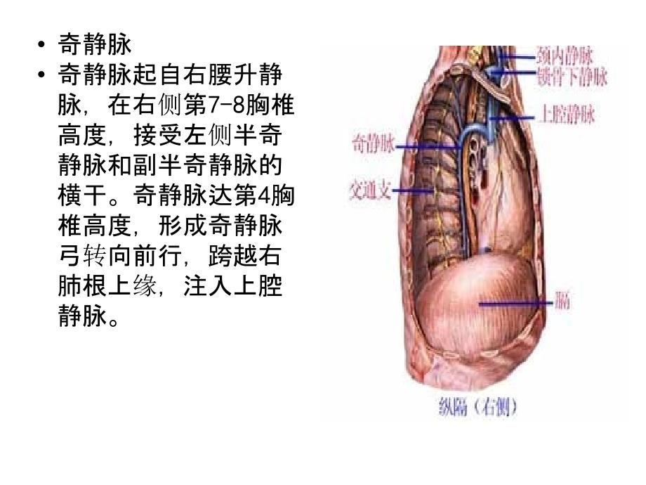 肺副裂的4种常见影像学类型_第3页