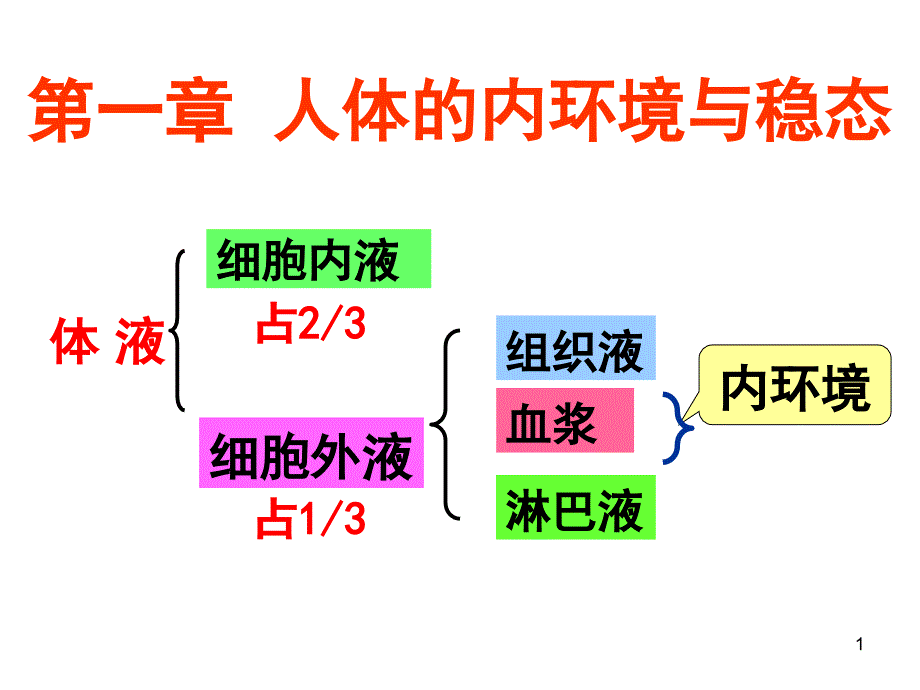 人教版高二生物必修三详细复习知识点.ppt_第1页