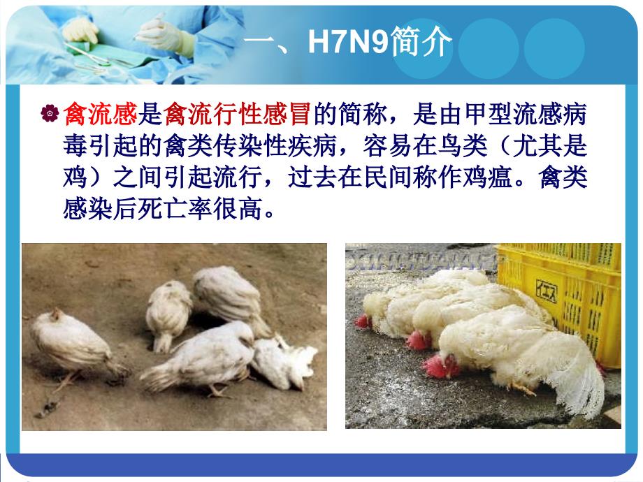 广安友谊中学h7n9禽流感防控知识传主题班会ppt课件_第4页