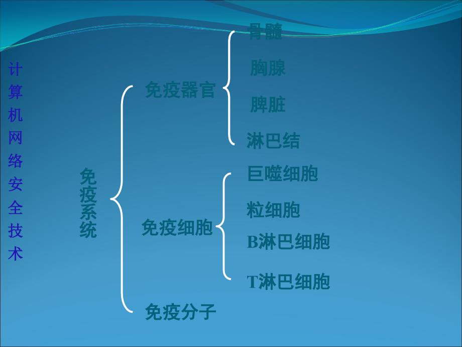 动物体的细胞识别和免疫_第4页