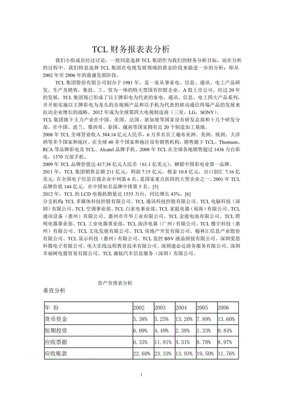 TCL财务报表分析_第1页