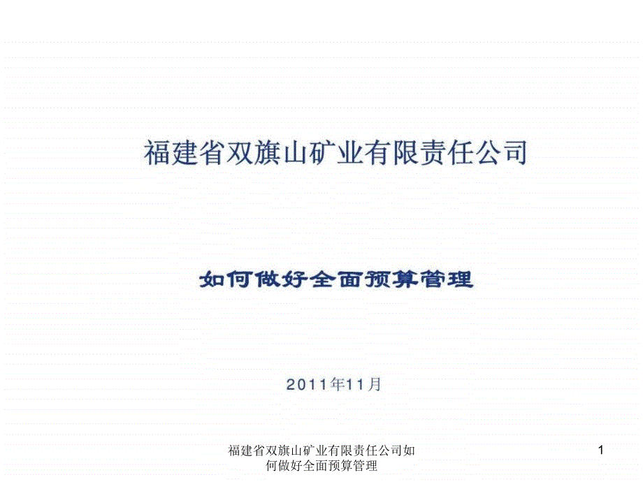 福建省双旗山矿业有限责任公司如何做好全面预算管理课件_第1页