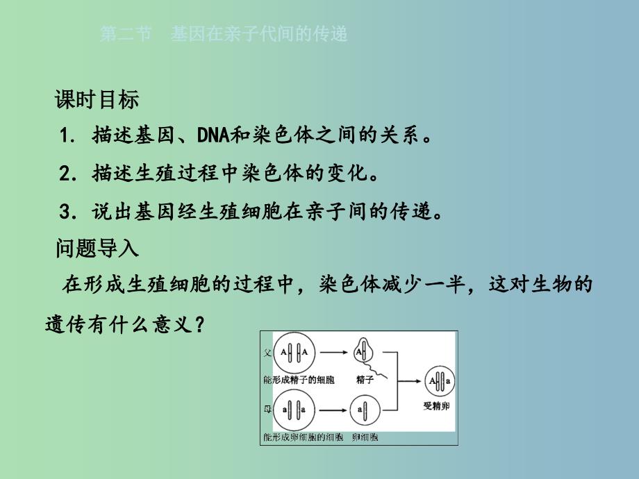 八年级生物下册7.2.2基因在亲子代间的传递课件新版新人教版.ppt_第2页