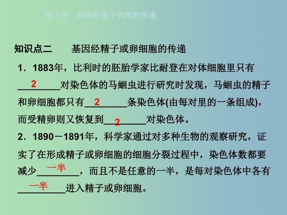 八年级生物下册7.2.2基因在亲子代间的传递课件新版新人教版.ppt_第5页