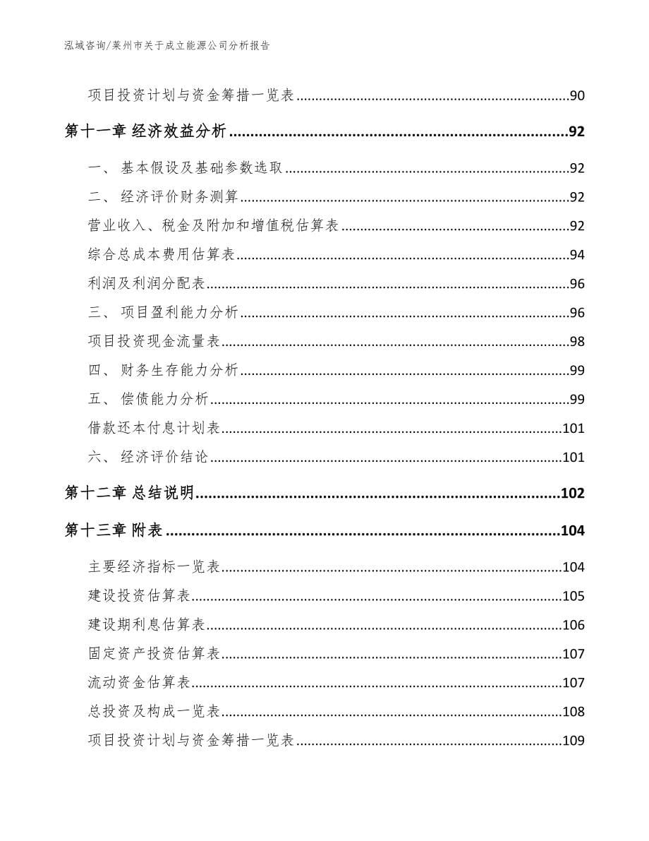 莱州市关于成立能源公司分析报告_第5页