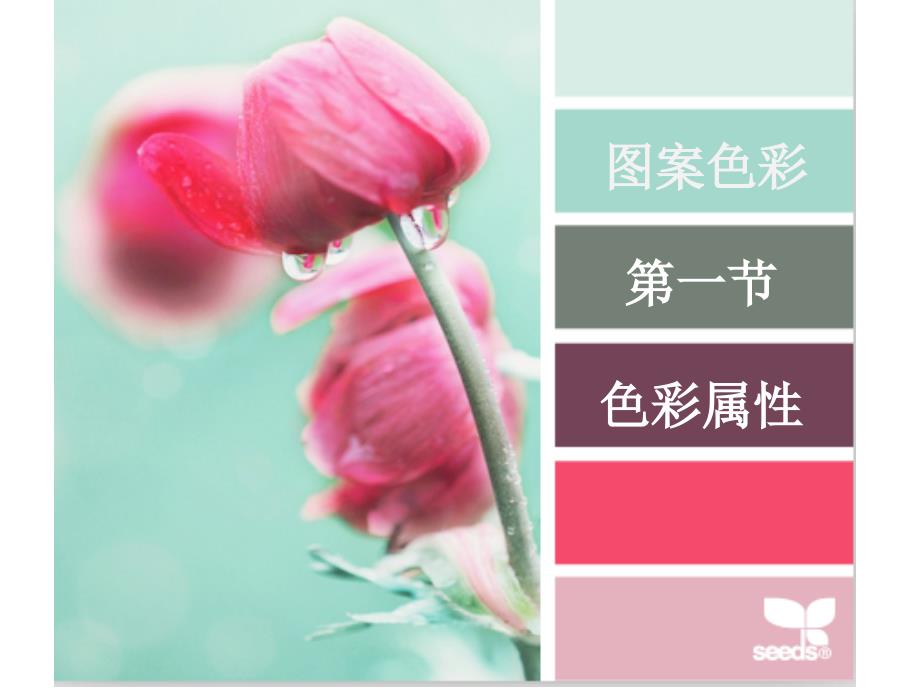 基础图案色彩搭配_第1页