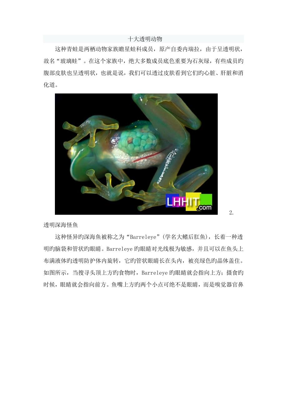 十种透明动物_第1页