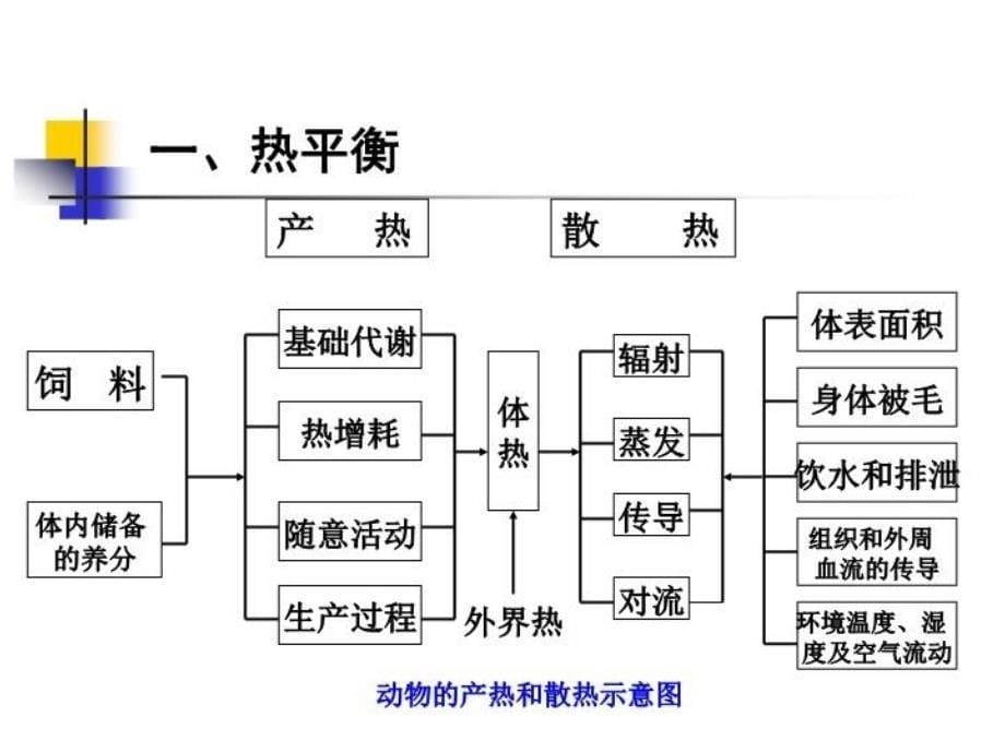 最新十二章节营养与环境PPT课件_第5页