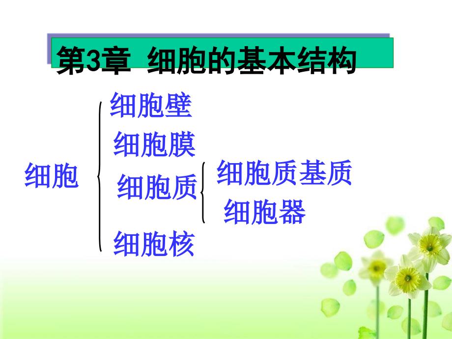 高三一轮复习必修一第3章细胞的基本结构课件_第2页