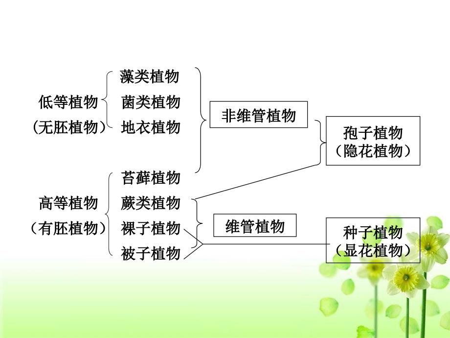 高三一轮复习必修一第3章细胞的基本结构课件_第4页