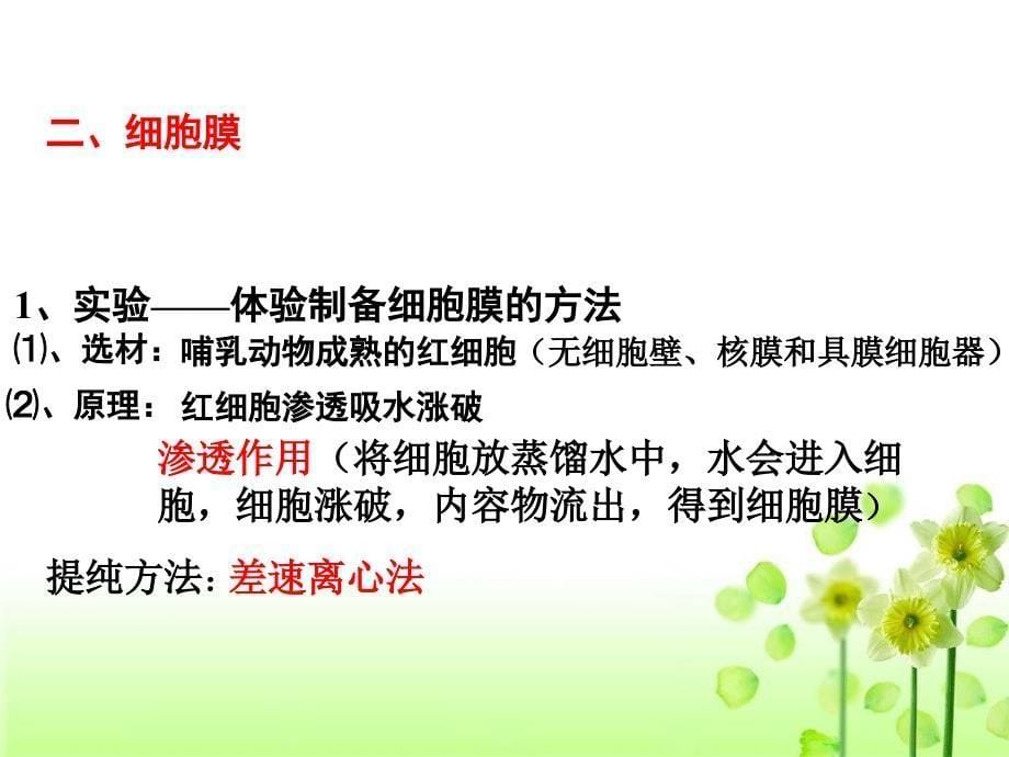 高三一轮复习必修一第3章细胞的基本结构课件_第5页