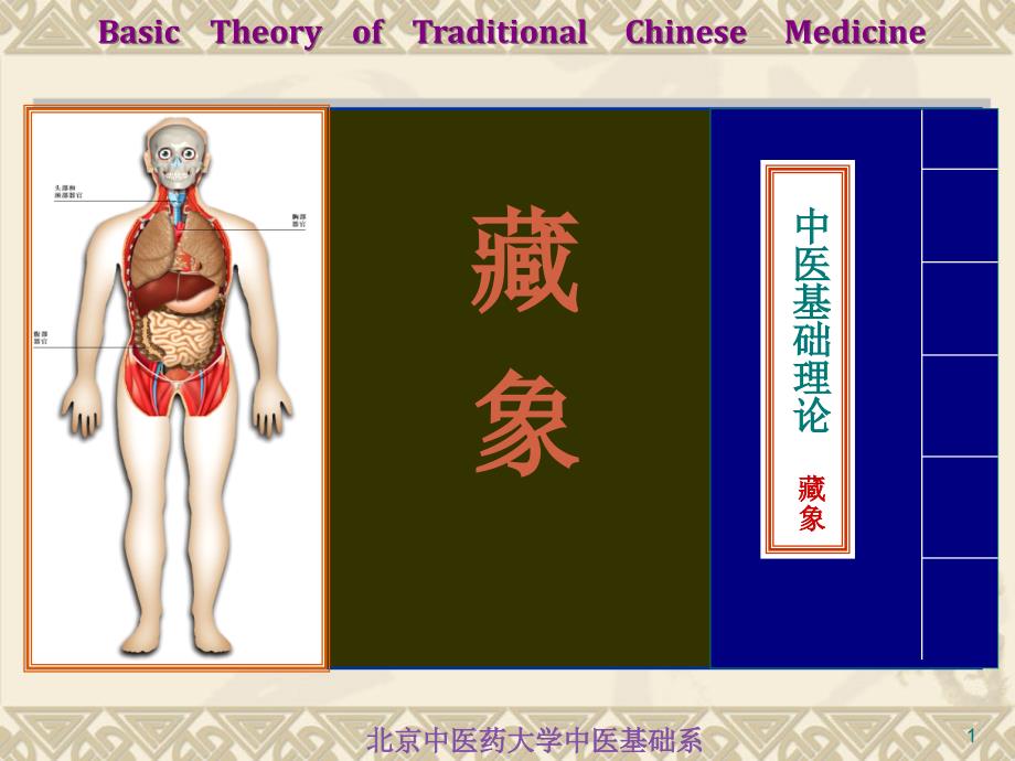 7藏象学说五脏肾_第1页