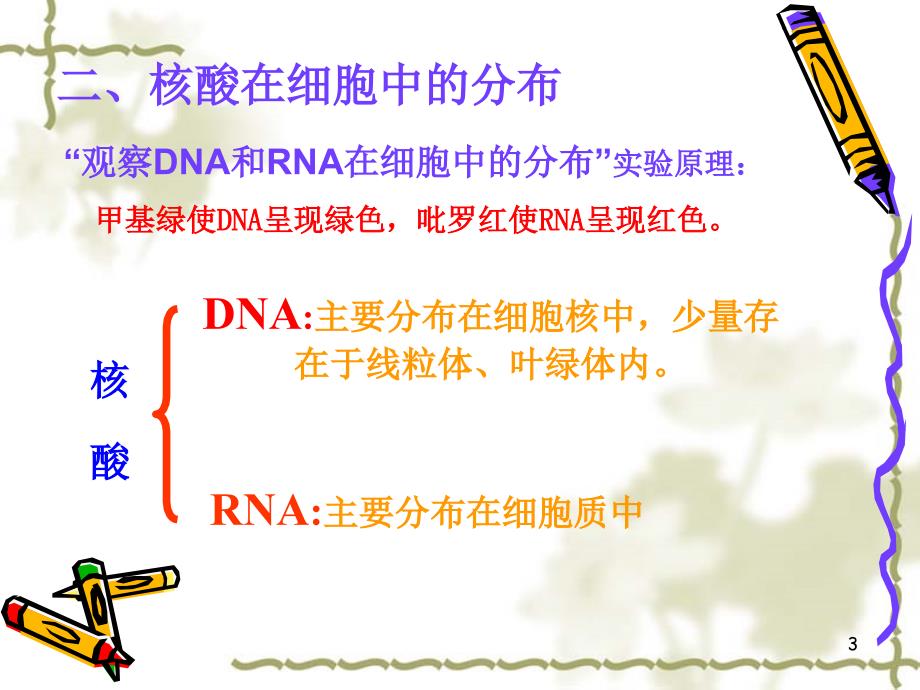 人教版教学课件分子与细胞第二章第3节核酸课件_第3页