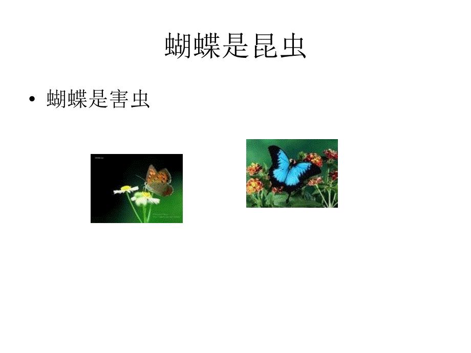 精品三年级上美术课件可爱的水墨昆虫岭南版可编辑_第2页