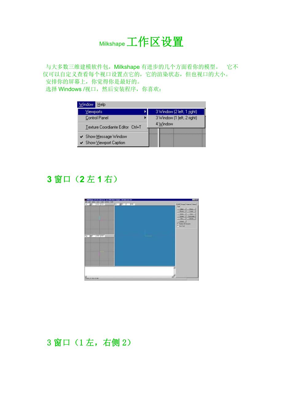 Milkshape工作区设置_第1页