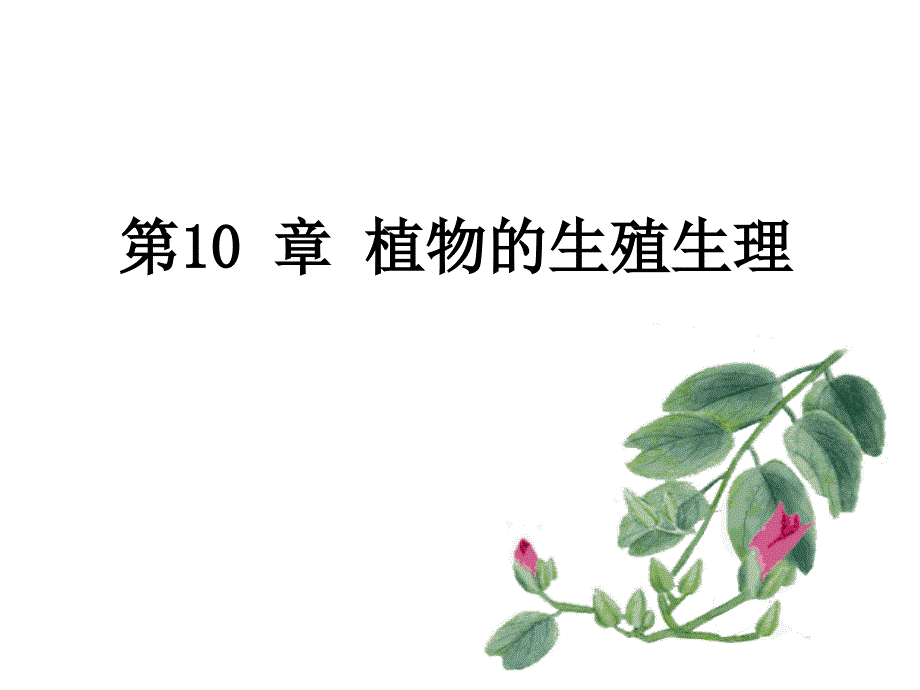 植物的生殖生长_第1页