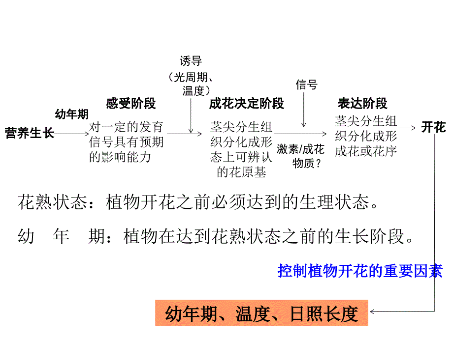 植物的生殖生长_第3页