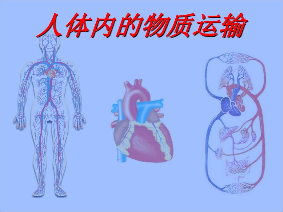 《人体内的物质运输》复习课件_第1页