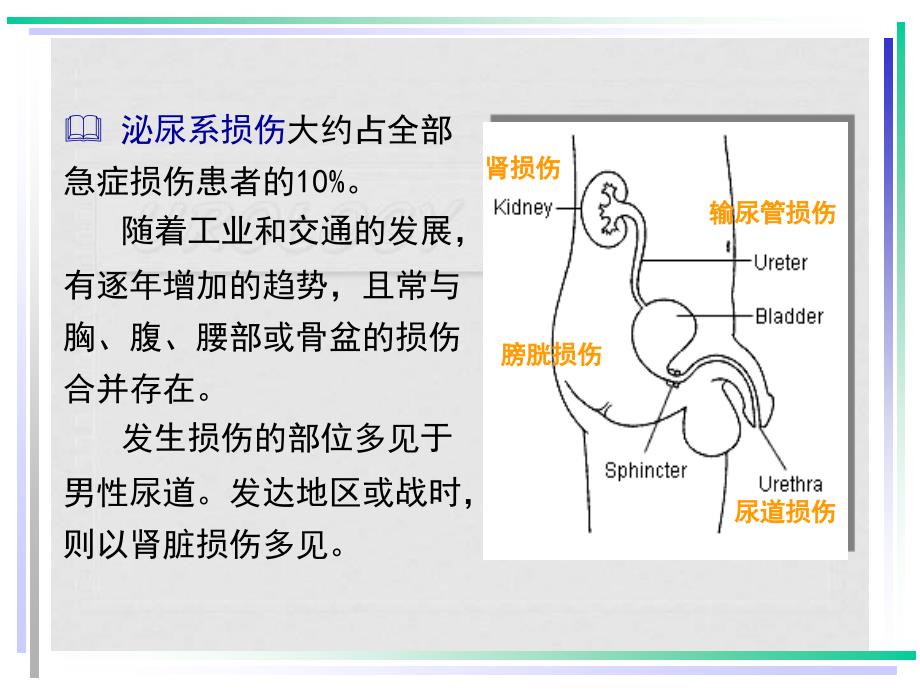 泌尿系统损伤InjurytoUinarysystem_第4页