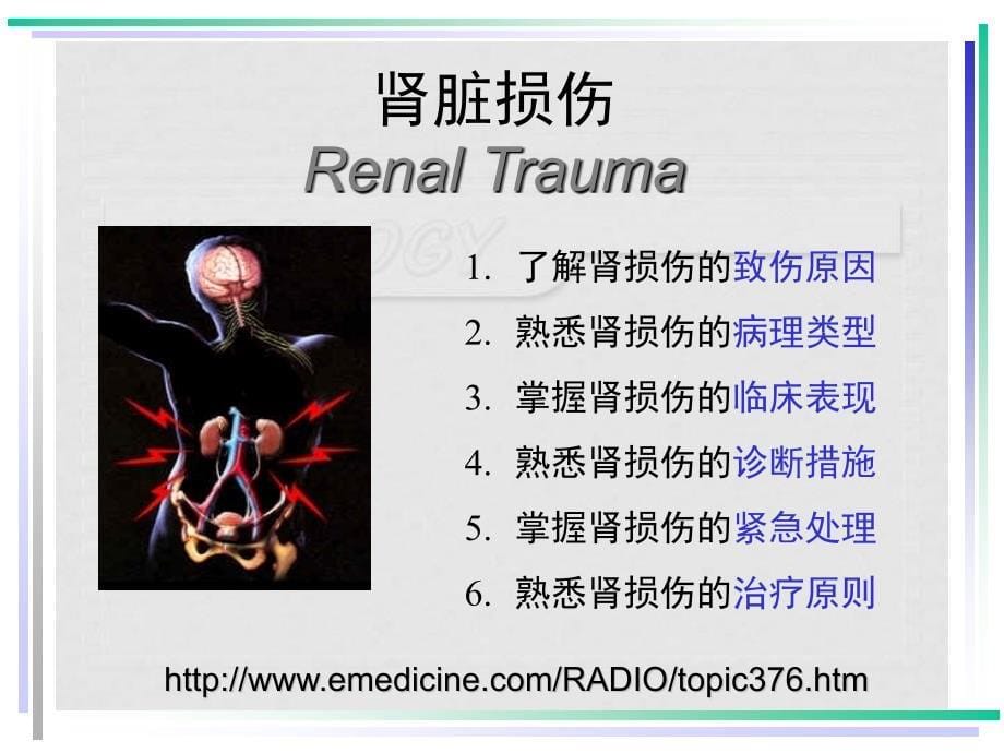 泌尿系统损伤InjurytoUinarysystem_第5页