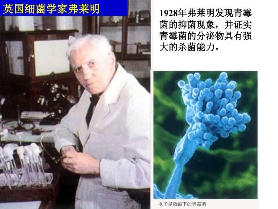 生物技术药物概论_第5页