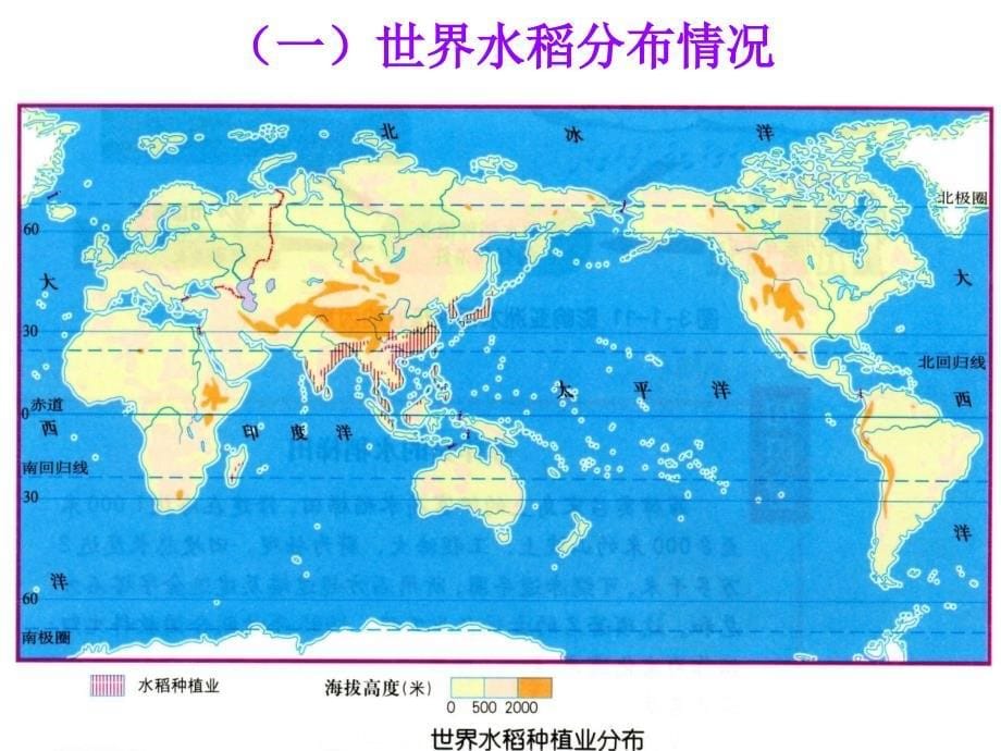 优质稻保优高产高效栽培技术湘潭生物机电学校课件_第5页