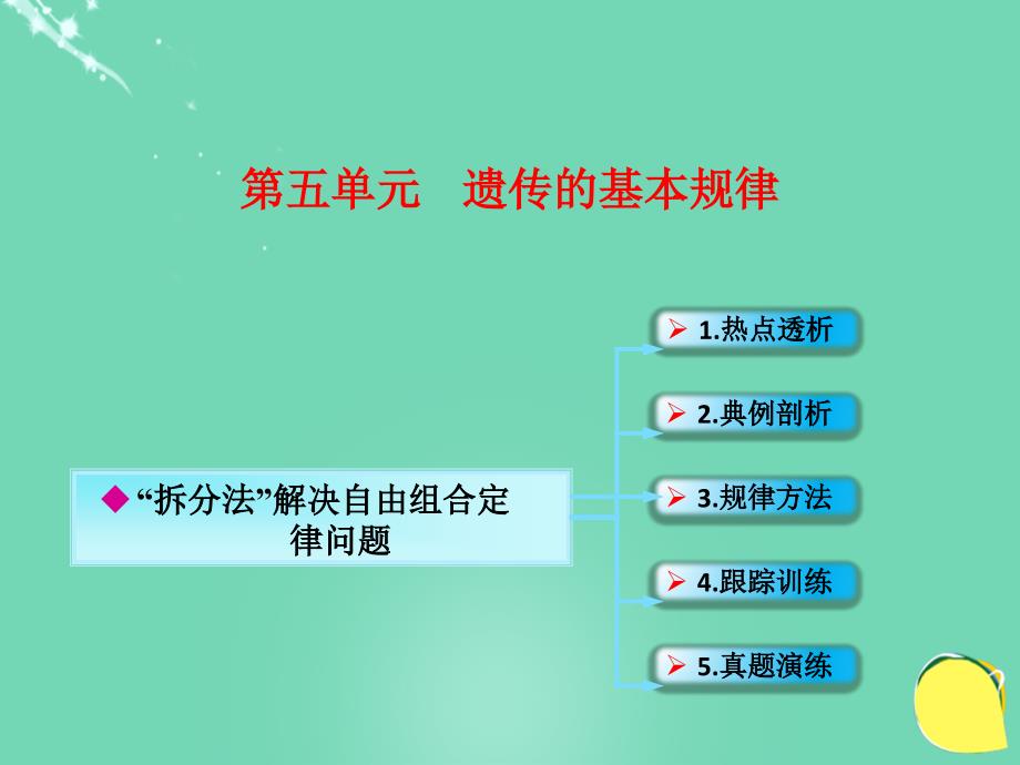 高考生物一轮复习 第五单元 遗传的基本规律 06“拆分法”解决自由组合定律问题课件 新人教版_第1页