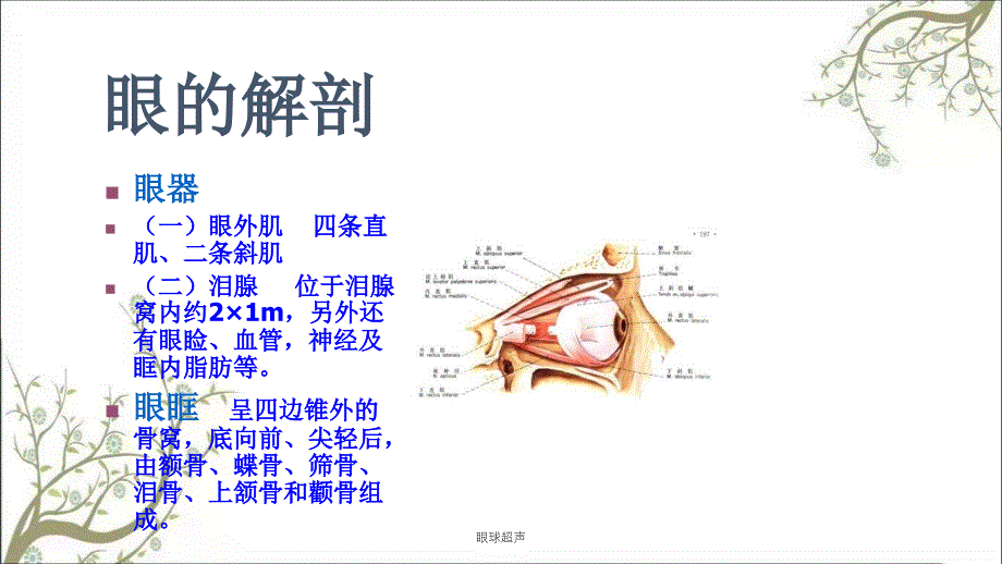 眼球超声课件_第4页