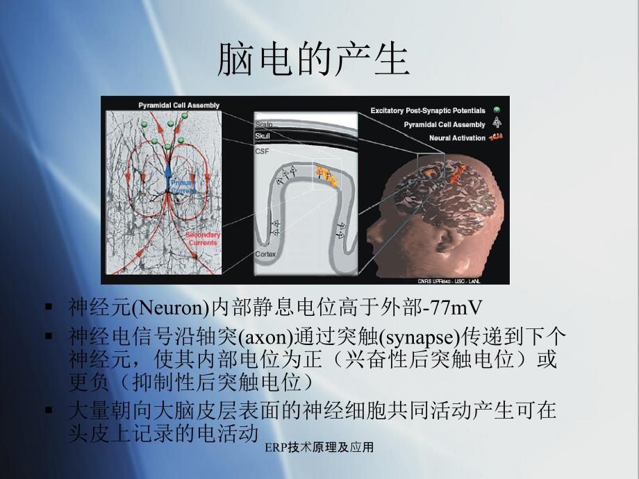 ERP技术原理及应用课件_第2页