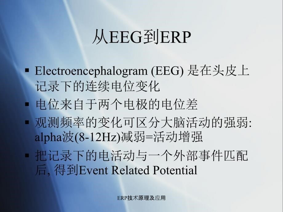 ERP技术原理及应用课件_第5页