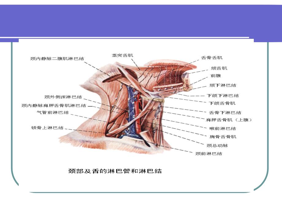 淋巴结肿大的病因及鉴别_第4页