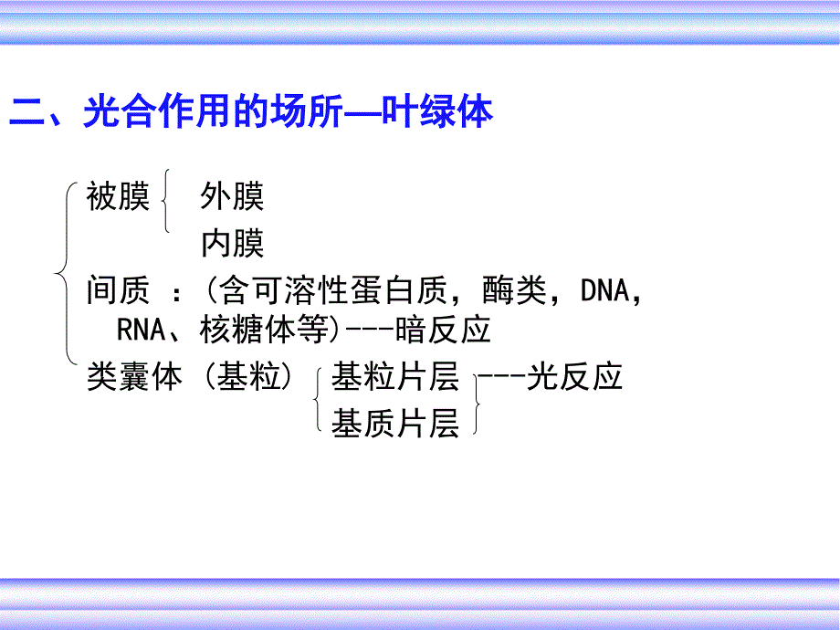 生物化学光合作用课堂PPT_第3页