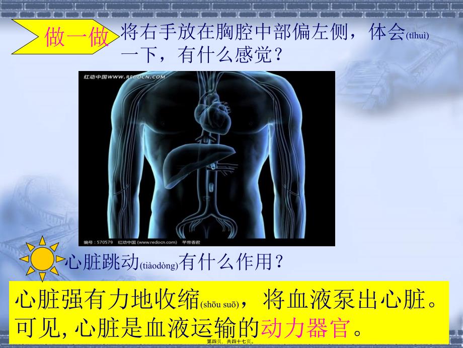 医学专题一.4.3输送血液的泵—心脏(46张ppt)_第4页