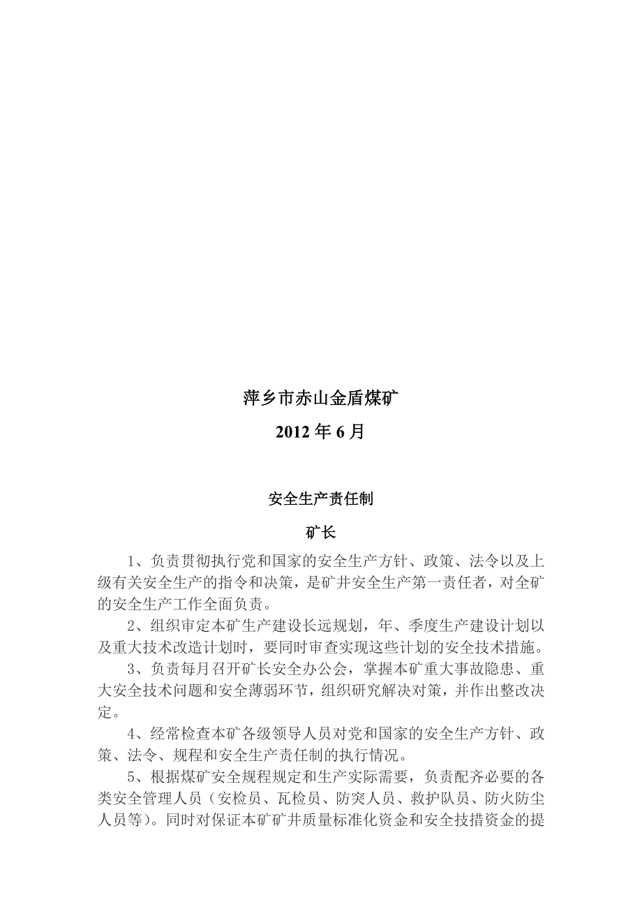 金盾煤矿安全生产责任制3.doc_第2页