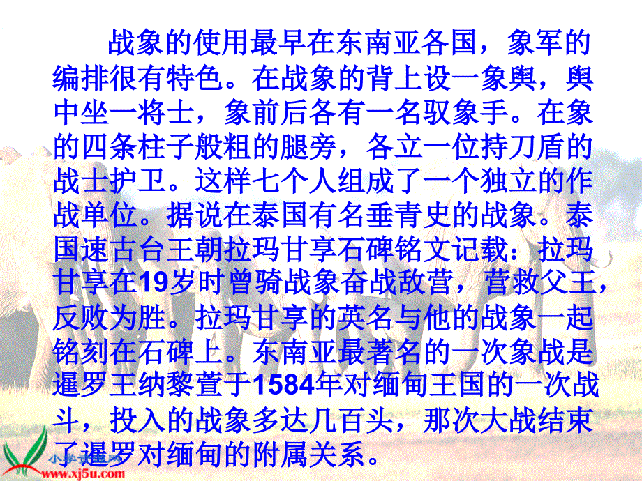 23最后一头战象_第4页