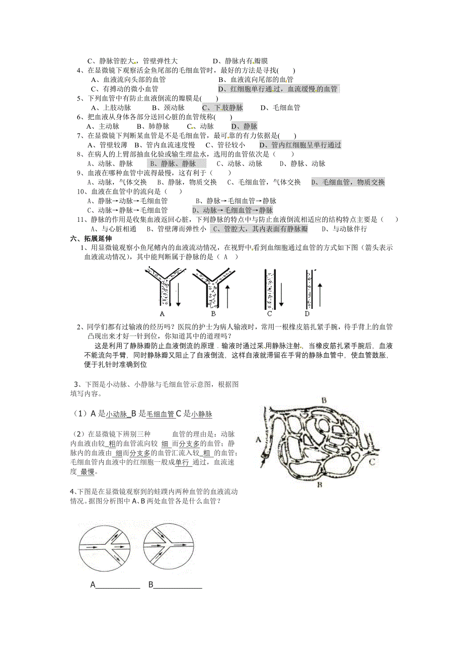 第二节血流的管道2.doc_第2页