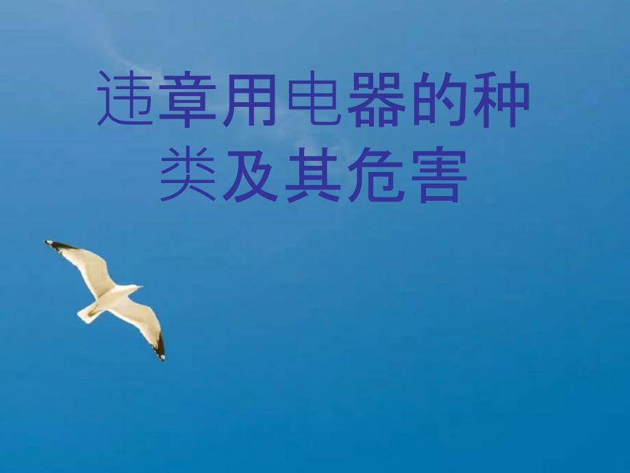 违章用电器及其危害西南民族大学消防队第八组杨敏制ppt课件_第1页