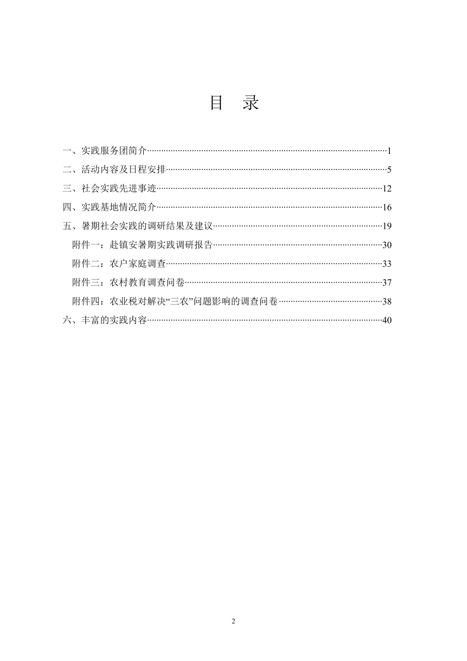 优秀实践团队总结材料样本年山阳镇安_第2页