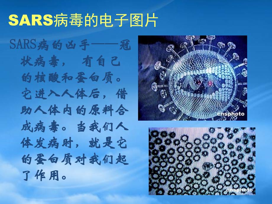 高中化学生命的基础蛋白质课件新人教选修1_第2页