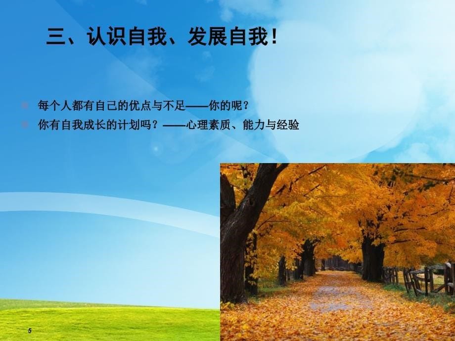 华夏爱婴园长培训.ppt_第5页