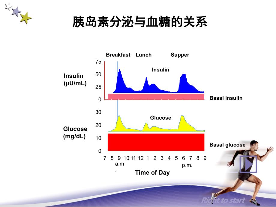 胰岛素的分类及使用技巧.ppt_第3页