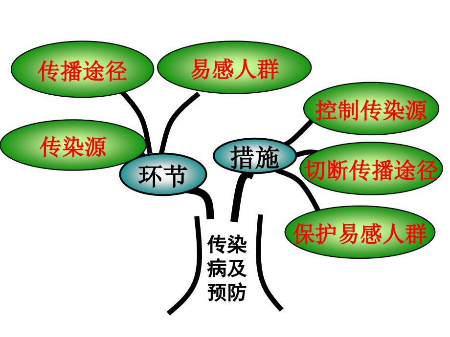 第二节免疫与计划免疫_第2页