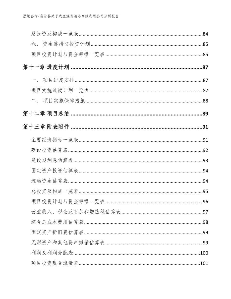襄汾县关于成立煤炭清洁高效利用公司分析报告_参考范文_第5页
