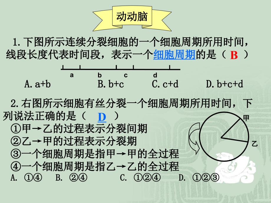 浙教版生物必修一《41细胞的增殖》公开课课件（平湖中学姚国浩）（共22张PPT）_第3页