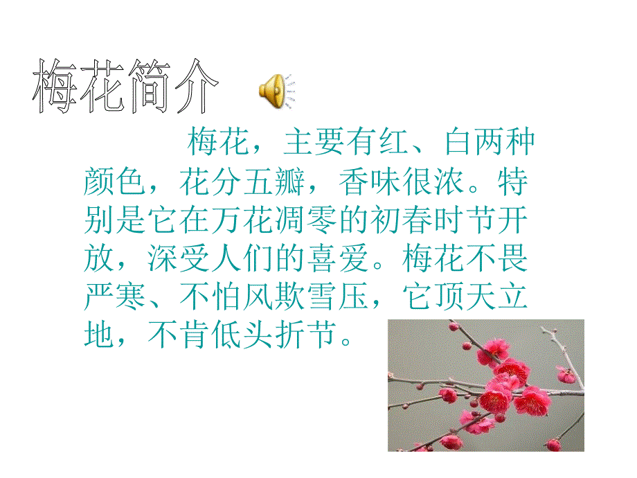 《梅花魂》课件6 (2)_第2页